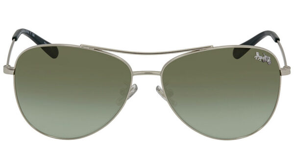 Coach HC7079 Aviator Sunglasses