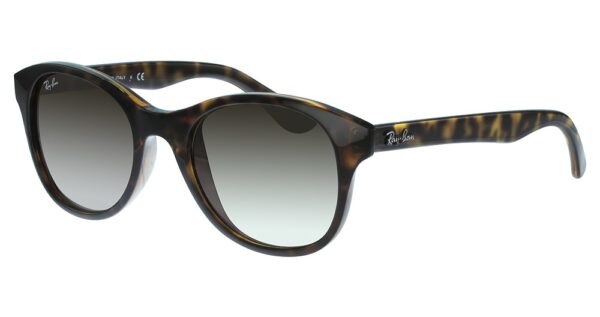 Ray Ban RB4203 Sunglasses